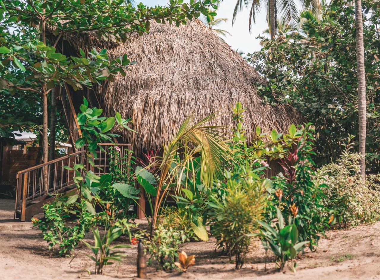 Los Hermanos Beach Hostal Guachaca Εξωτερικό φωτογραφία